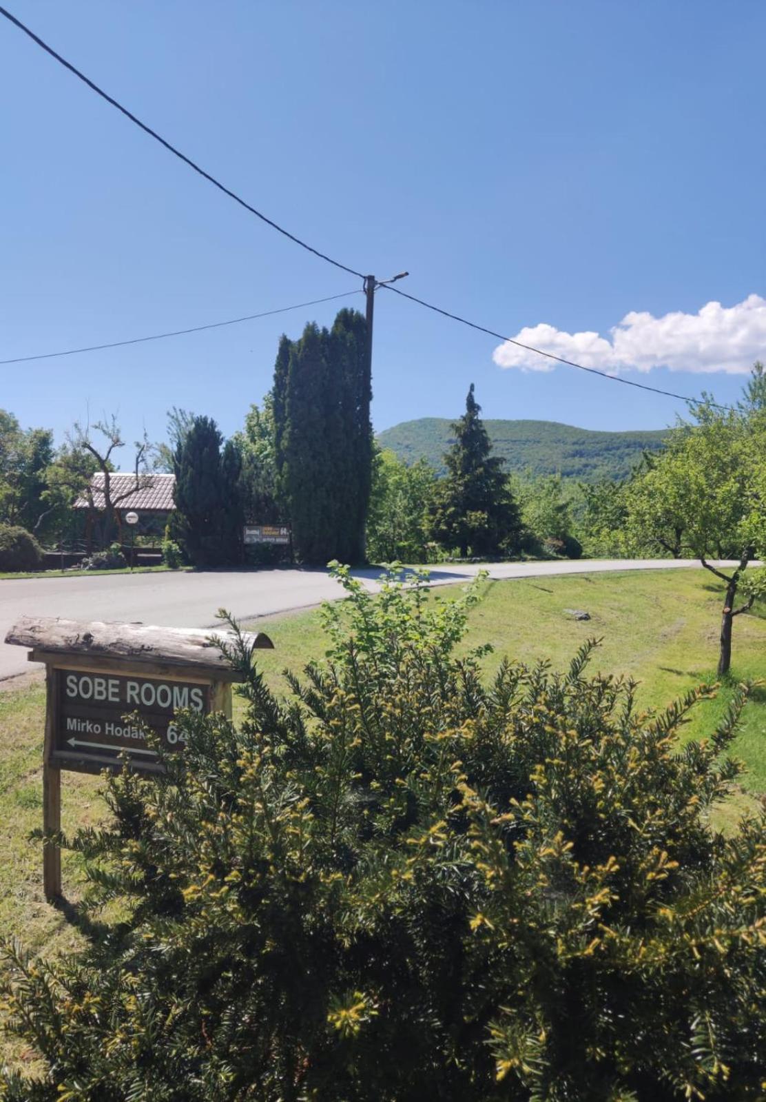 Guesthouse Mirko Hodak Seliste Dreznicko Exterior foto