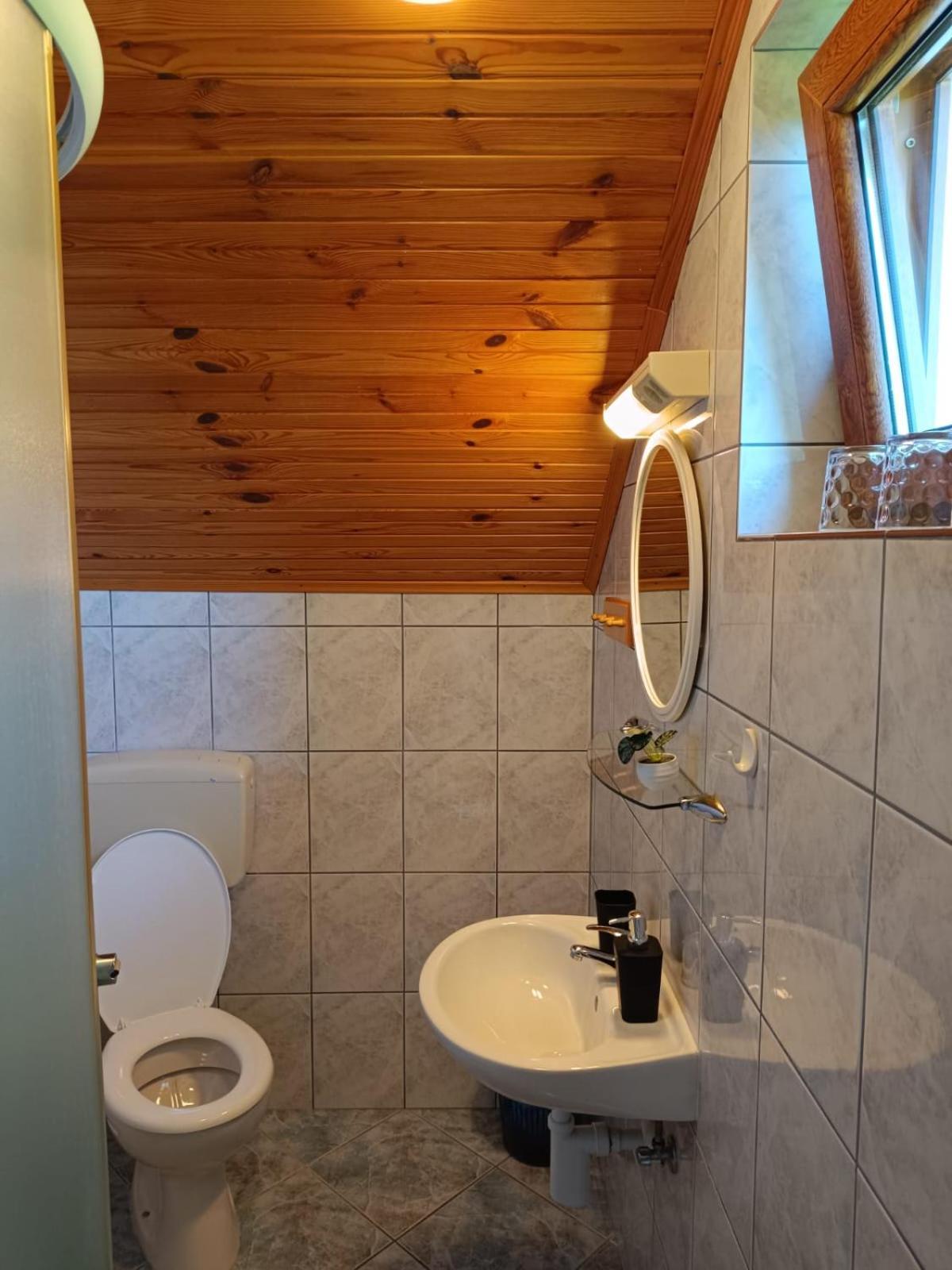 Guesthouse Mirko Hodak Seliste Dreznicko Exterior foto